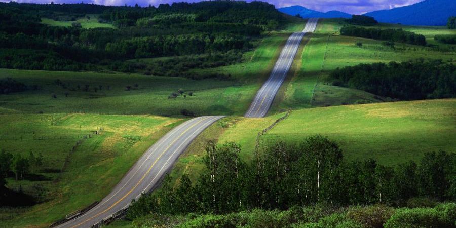 35656_ba827604f0f9524d028c37342255f3c5_large